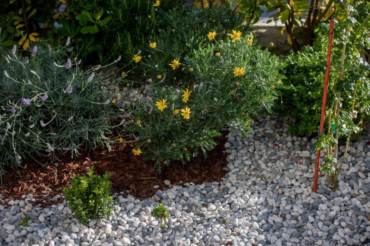 Peaceful Haven Near The Sea-Apartments Torlak Rab Banjol エクステリア 写真